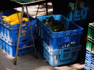 Blå plastbackar med gul squash och zucchini vid ett marknadsstånd